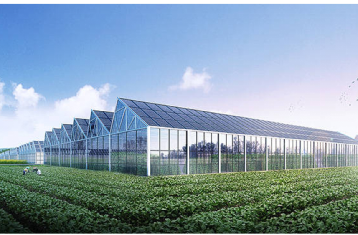 New chapter of photovoltaic agriculture: purlin machine to help photovoltaic smart greenhouse construction